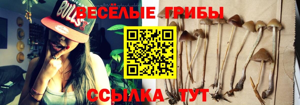 Галлюциногенные грибы MAGIC MUSHROOMS Ярославль